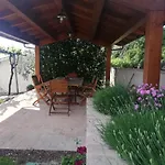 La Casa Tra Gli Ulivi