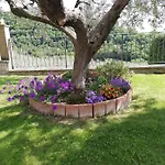 La Casa Tra Gli Ulivi 3*