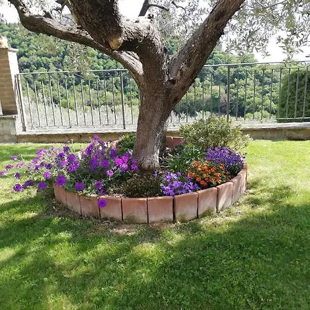 La Casa Tra Gli Ulivi 3*