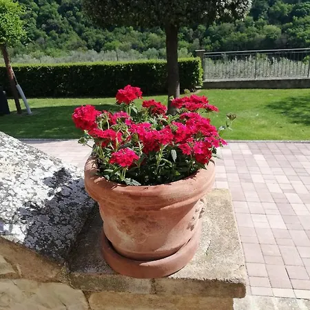 Oda ve Kahvaltı La Casa Tra Gli Ulivi 3*