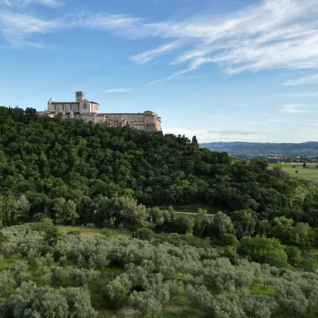 فندق مبيت وإفطار La Casa Tra Gli Ulivi 3*