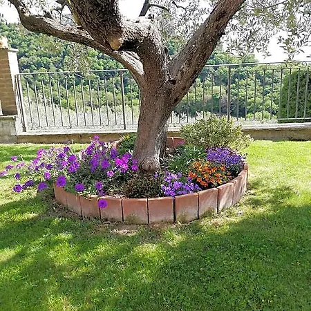 La Casa Tra Gli Ulivi
