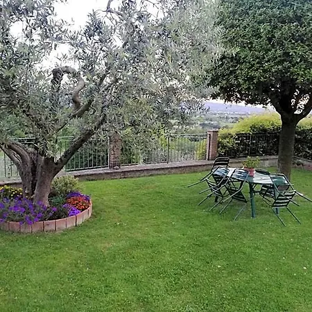 La Casa Tra Gli Ulivi 3*