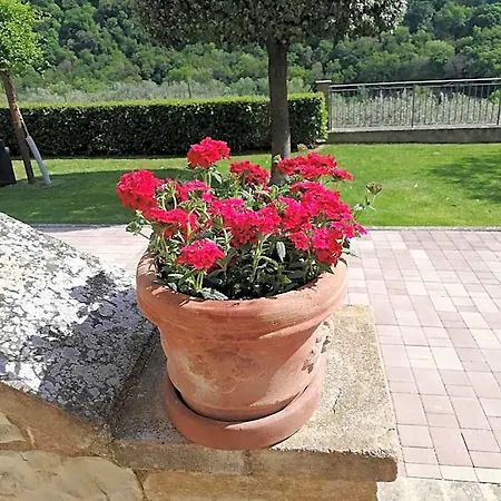 La Casa Tra Gli Ulivi