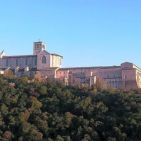 La Casa Tra Gli Ulivi 3*