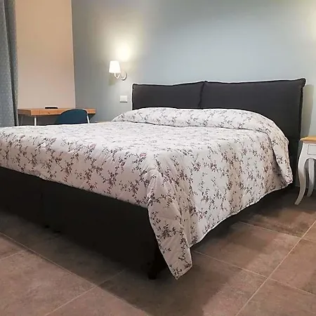La Casa Tra Gli Ulivi Ασίζη