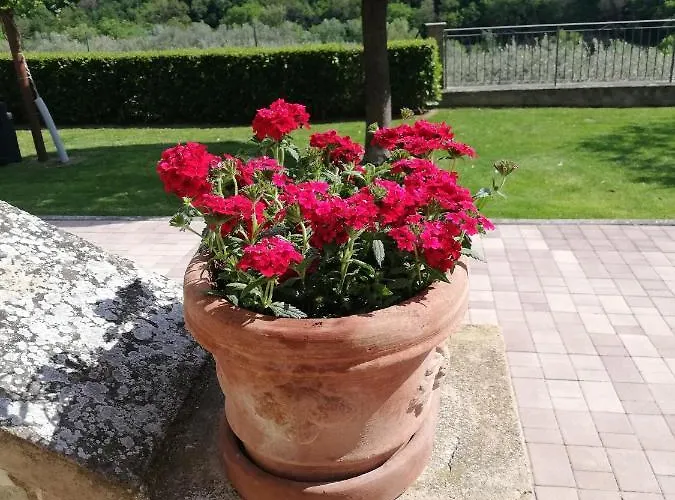 住宿加早餐酒店 La Casa Tra Gli Ulivi 3*