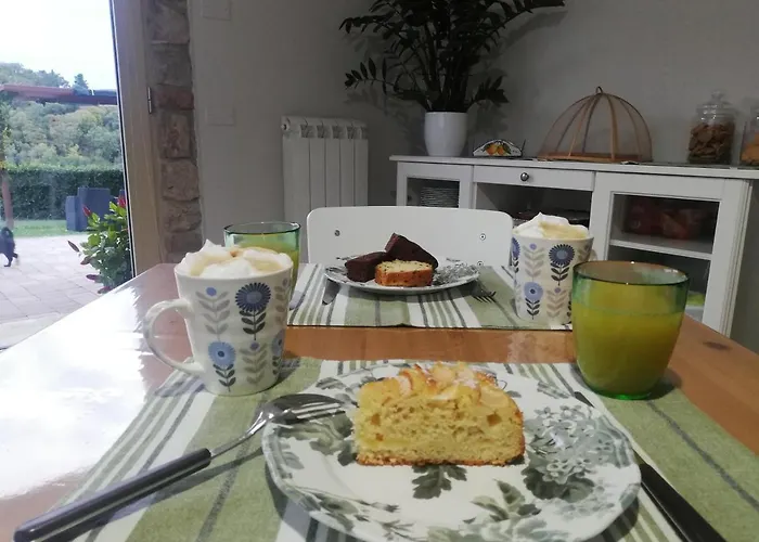 La Casa Tra Gli Ulivi