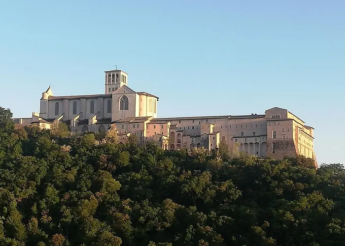 فندق مبيت وإفطار La Casa Tra Gli Ulivi