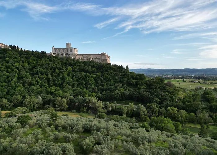 住宿加早餐酒店 La Casa Tra Gli Ulivi 3*